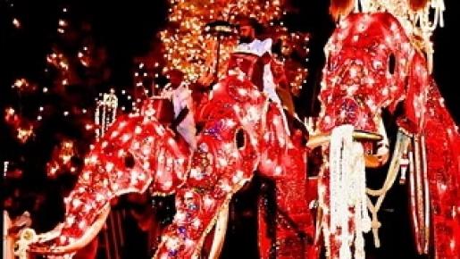 Kandy Esala Perahera – A Cultural Legacy